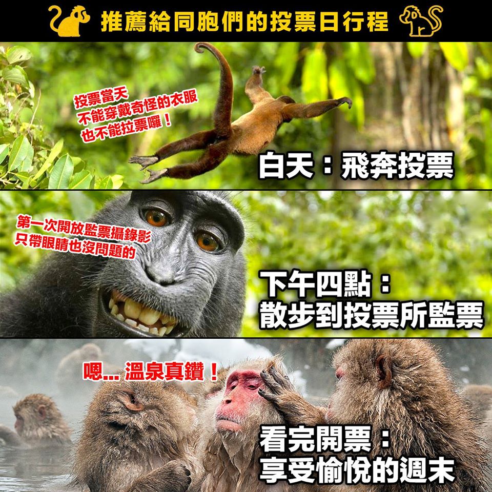 投票日再提醒