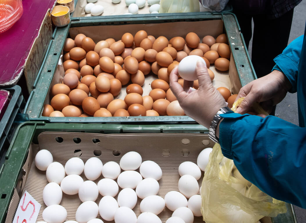 日本雞蛋為什麼比較便宜