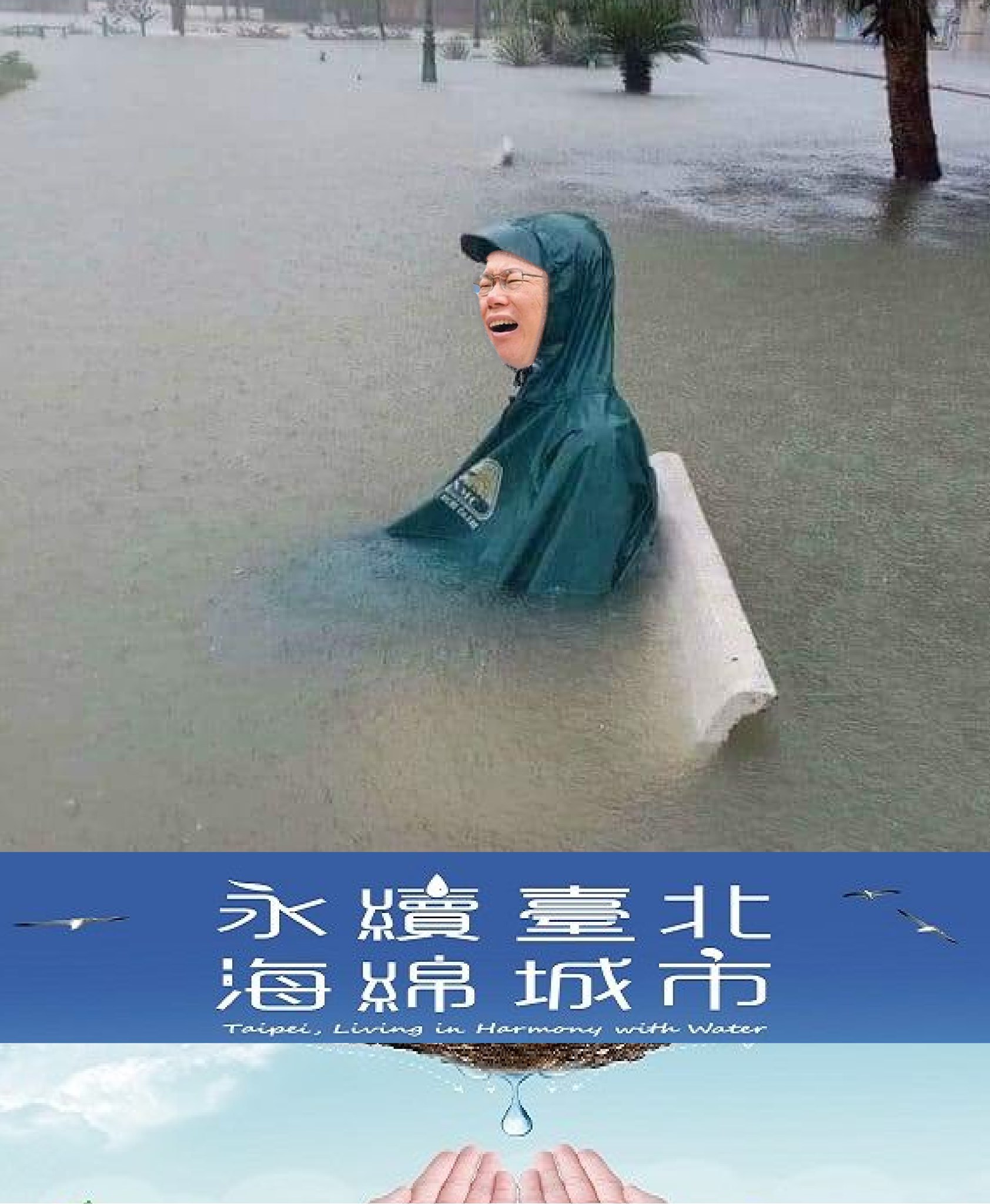 台北海綿了嗎?