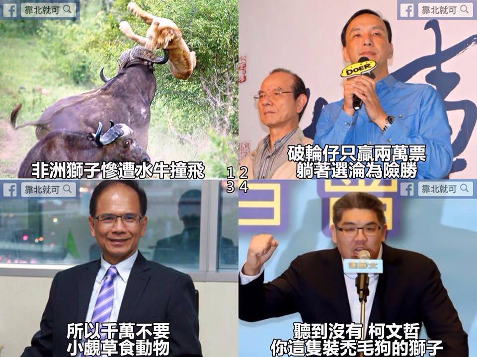 第105話：千萬不要小覷草食動物