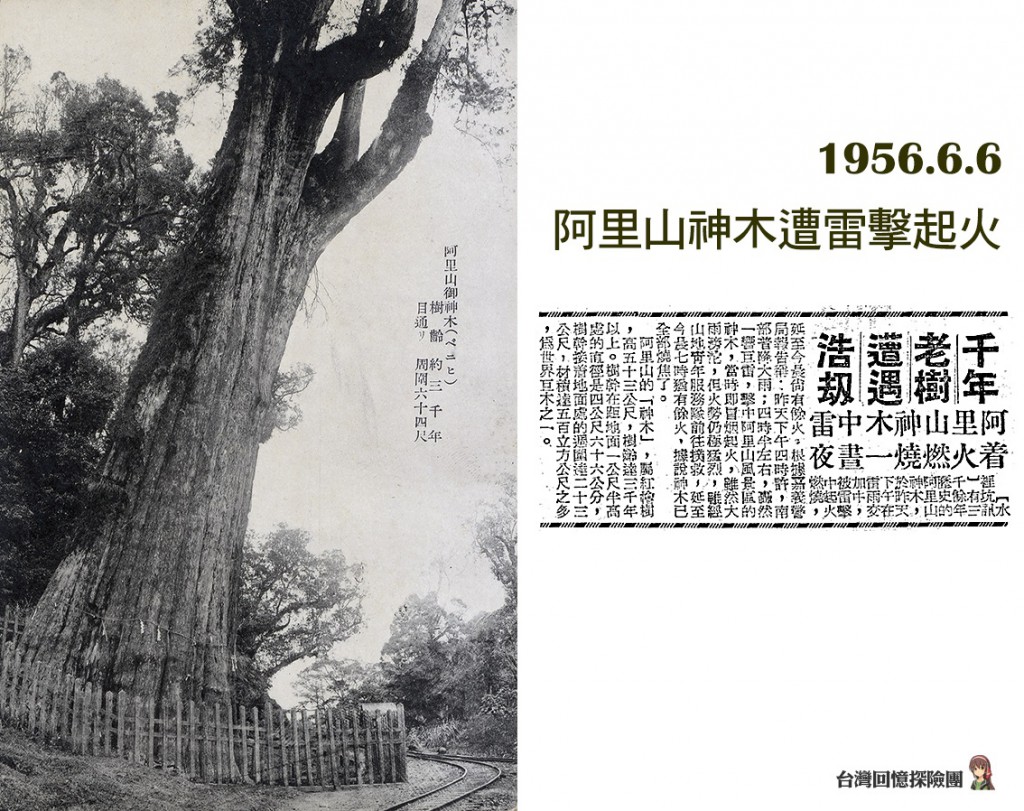 1956.6.6 阿里山神木遭雷擊起火
