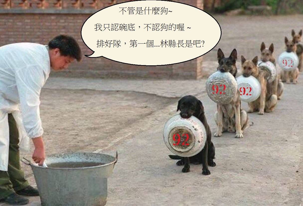 藍八狗事件