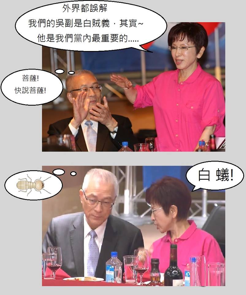 柱子與白蟻大戰